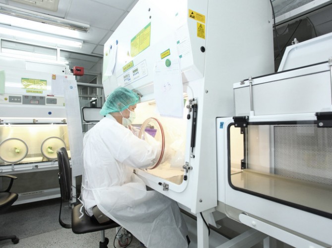 Historische Entwicklung